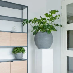 Abby Ball Plant Pot - Ridged Dark Grey -PlantVibe Shop AbbyBallPlantPot RidgedDarkGrey