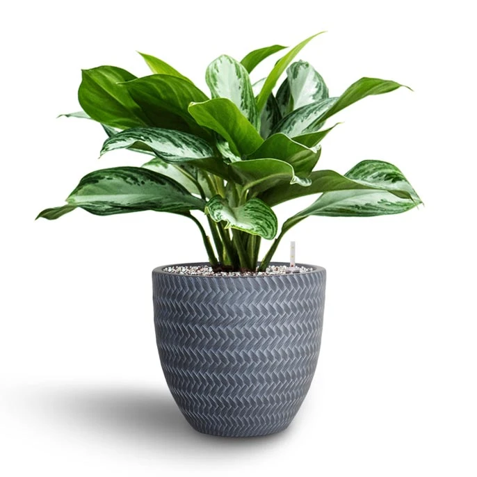 Angle Couple Plant Pot - Grey 2 Angle Couple Plant Pot - Grey - Image 2