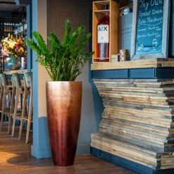 Front Page -PlantVibe Shop Baq Metallic Planter Silver Leaf Matt Copper ZZ plant 4bcd3b33 1190 4f3c b4a4 865ff4b04a26