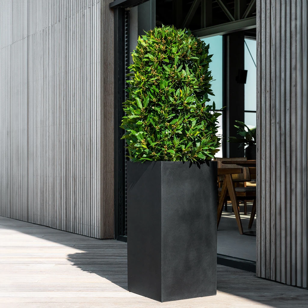 Bouvy Natural Planter - Black 2 Bouvy Natural Planter - Black - Image 2