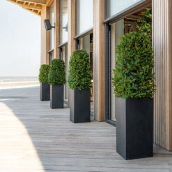 Bouvy Natural Planter - Black 14 Bouvy Natural Planter - Black -PlantVibe Shop Bouvy Natural Planter Black Lifestyle 3