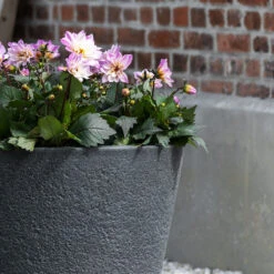 Bucket Granite Planter - Midnight Black -PlantVibe Shop Bucket Granite Planter Midnight Black Lifestyle 2
