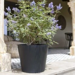 Bucket Natural Planter - Black -PlantVibe Shop Bucket Natural Planter Black 2