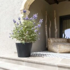 Bucket Natural Planter - Black -PlantVibe Shop Bucket Natural Planter Black 3