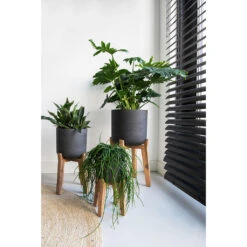 Charlie Plant Pot - Tall Stand - Black Washed -PlantVibe Shop Charlie Plant Pot Tall Stand Black Washed Lifestyle 02