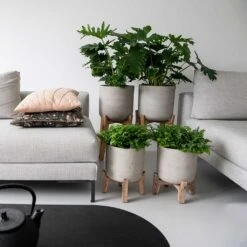 Charlie Plant Pot - Low Stand - Grey Washed 9 Charlie Plant Pot - Low Stand - Grey Washed -PlantVibe Shop Charlie Plant Pot Tall Stand Grey Washed Lifestyle 02 9225be9f 92ff 40ce 8bec 1627a363928b