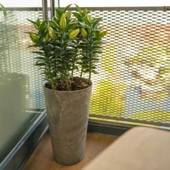 Claire Artstone Tall Planter - Grey 8 Claire Artstone Tall Planter - Grey -PlantVibe Shop Claire Artstone Tall Planter Grey 4