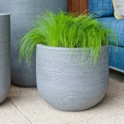 Cody Plant Pot - Ridged Dark Grey -PlantVibe Shop Cody Plant Pot Ridged Dark Grey Houseplant