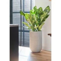 Cody Plant Vase - Ridged Cement 13 Cody Plant Vase - Ridged Cement -PlantVibe Shop Cody Plant Vase Ridged Cement Dieffenbachia