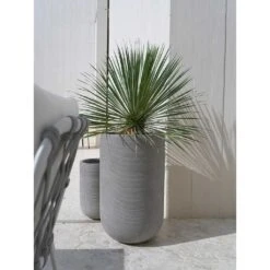 Cody Plant Vase - Ridged Dark Grey 30 Cody Plant Vase - Ridged Dark Grey -PlantVibe Shop Cody Tall Planter Ridged Dark Outdoor Palm