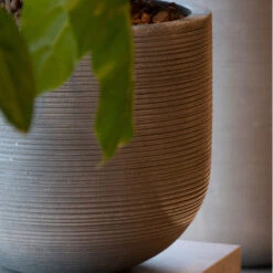Cody Plant Pot - Ridged Dark Grey -PlantVibe Shop CodyPlantPot RidgedDarkGrey 1