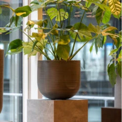 Cody Plant Pot - Ridged Dark Grey -PlantVibe Shop CodyPlantPot RidgedDarkGrey 6