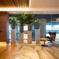 Cody Plant Vase - Ridged Dark Grey 22 Cody Plant Vase - Ridged Dark Grey -PlantVibe Shop CodyPlantVase RidgedDarkGrey 9