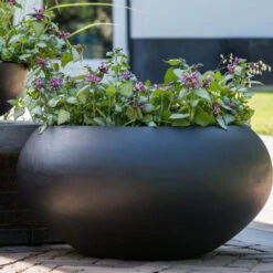 Cora Natural Bowl Planter - Black 11 Cora Natural Bowl Planter - Black -PlantVibe Shop CoraNaturalBowlPlanter Black 5