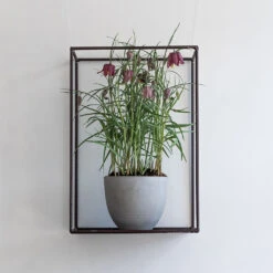 Coral Refined Planter - Clouded Grey 7 Coral Refined Planter - Clouded Grey -PlantVibe Shop Coral Refined Planter Clouded Grey Lifestyle