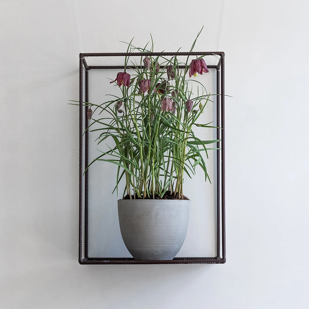 Coral Refined Planter - Clouded Grey 3 Coral Refined Planter - Clouded Grey - Image 3