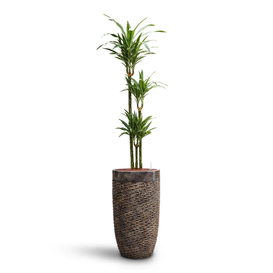 Luxe Lite Layer Partner Planter - Bronze 7 Luxe Lite Layer Partner Planter - Bronze - Image 7