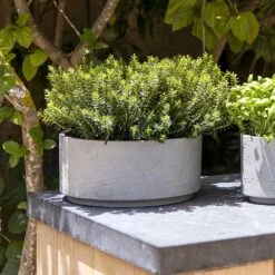 Eli Plant Bowl - Grey Washed -PlantVibe Shop Eli Plant Bowl Grey Washed Rosemary