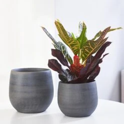 Esra Plant Pot - Graphite -PlantVibe Shop Esra graphite Lifestyle 1