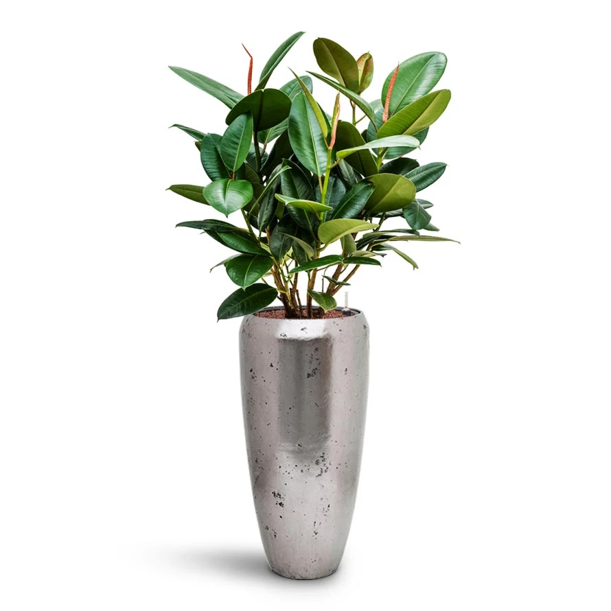 Opus Raw Partner Planter - Silver 4 Opus Raw Partner Planter - Silver - Image 4