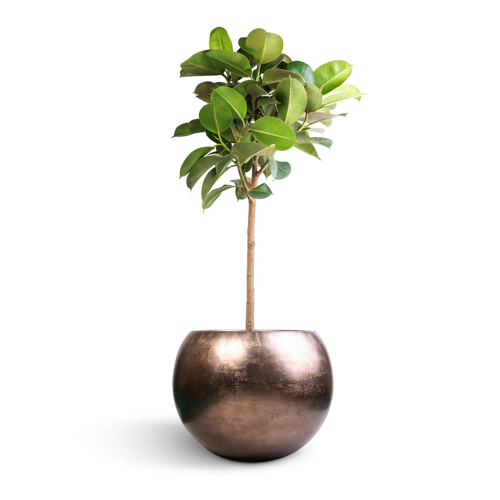 Metallic Globe Plant Pot - Matt Coffee 9 Metallic Globe Plant Pot - Matt Coffee - Image 9