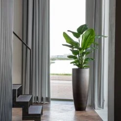 Gradient Partner Planter - Matt Grey -PlantVibe Shop Gradient Partner Planter Matt Grey 4