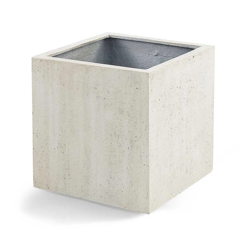 Grigio Cube Planter - Antique White Concrete 4 Grigio Cube Planter - Antique White Concrete - Image 4