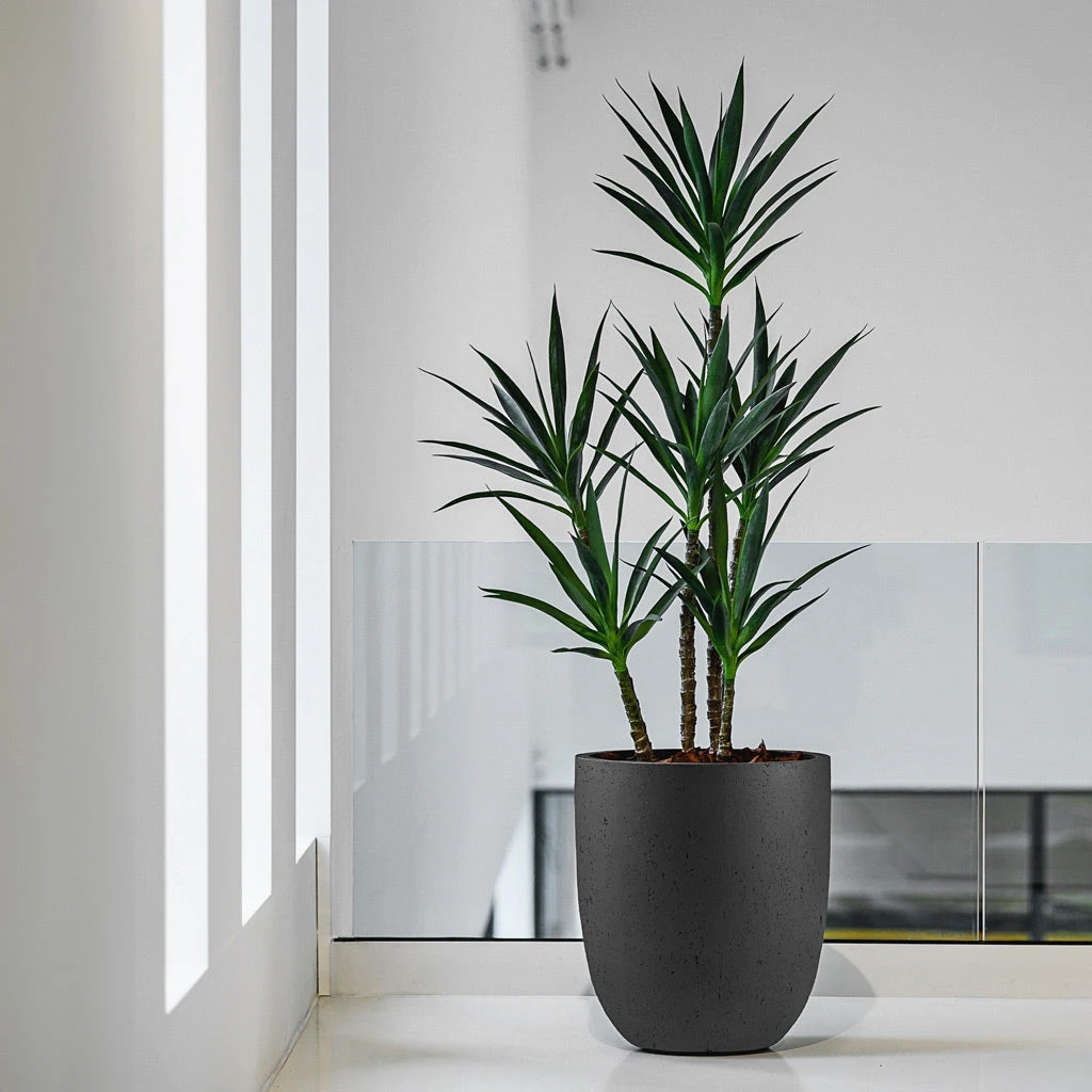 Grigio Tall Egg Pot Planter - Anthracite Concrete 2 Grigio Tall Egg Pot Planter - Anthracite Concrete - Image 2