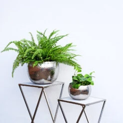 Hammered Bowl - Nickel With Black -PlantVibe Shop Hammered Bowl Silver Lifestyle 2