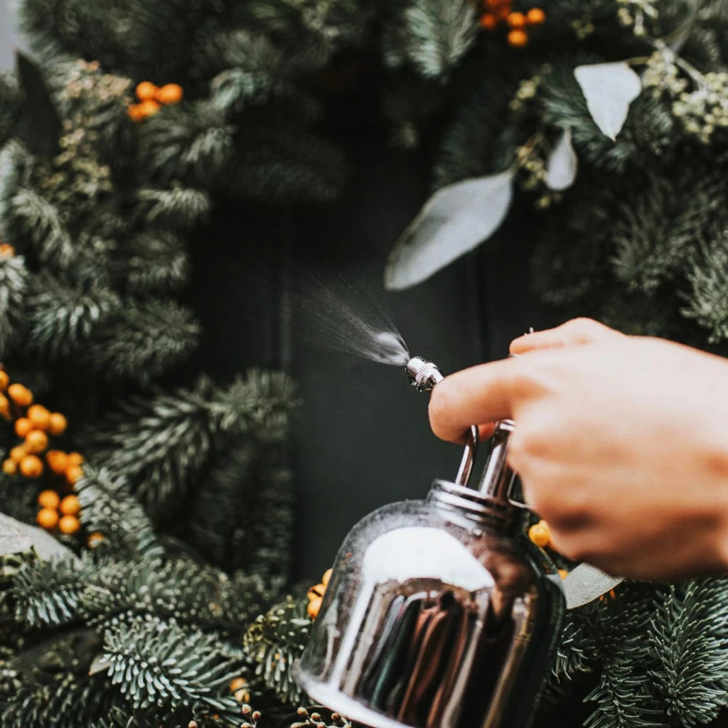 Front Page -PlantVibe Shop Haws Smethwick Spritzer in Nickel 2