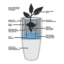 Ficus Elastica Robusta - Rubber Plant - HydroCare -PlantVibe Shop Hydroculture Planter Diagram 2a90ae90 c36e 415b 85c3 d57100d7d0d8