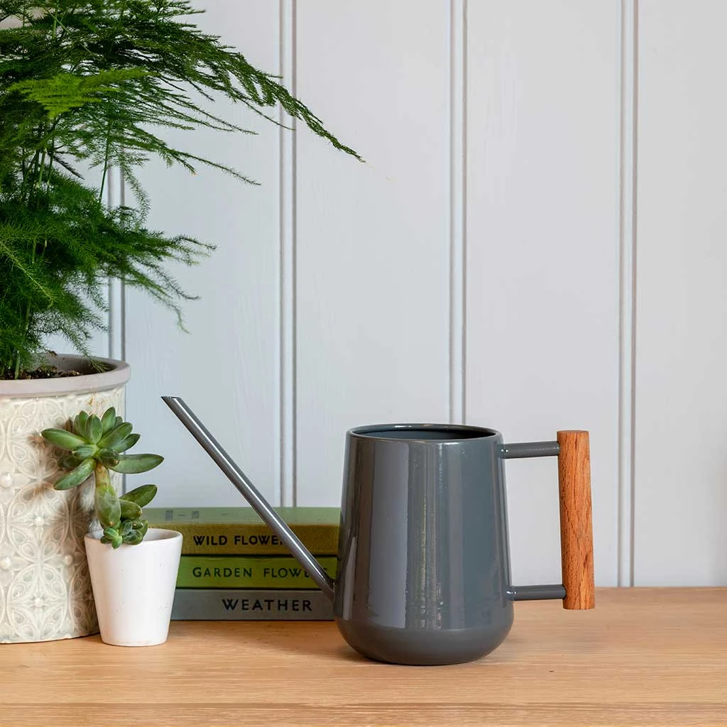 Indoor Watering Can 0.7L - Charcoal With Beech Handle 2 Indoor Watering Can 0.7L - Charcoal With Beech Handle - Image 2
