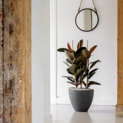 Jesslyn Granite Planter - Midnight Black -PlantVibe Shop Jesslyn Granite Planter Midnight Black Lifestyle 3