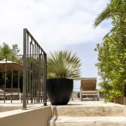 Jesslyn Natural Planter - Black -PlantVibe Shop Jesslyn Natural Planter Black 1