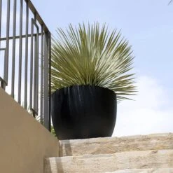 Jesslyn Natural Planter - Black -PlantVibe Shop Jesslyn Natural Planter Black 2