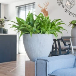 Jesslyn Plant Pot - Ridged Cement -PlantVibe Shop JesslynPlantPot RidgedCement 2