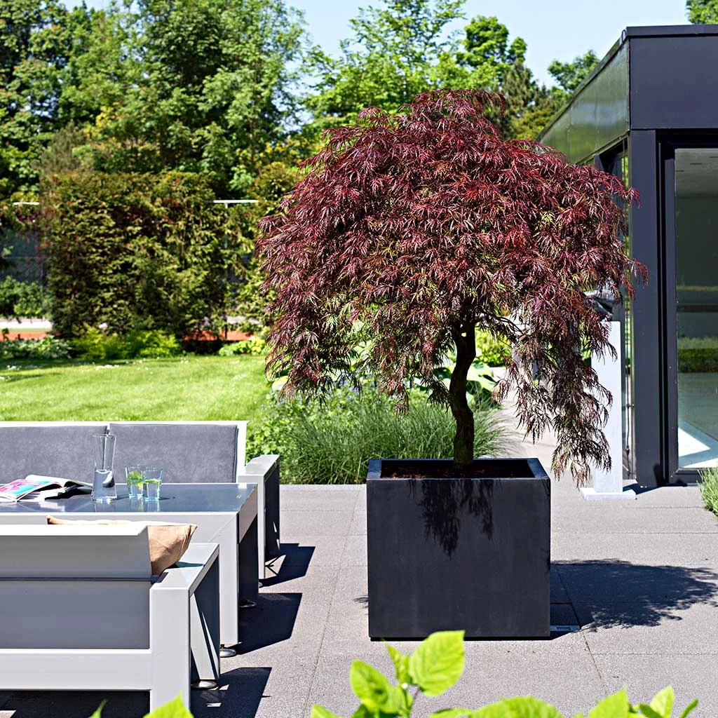 Jumbo Cube Natural Planter - Black 2 Jumbo Cube Natural Planter - Black - Image 2