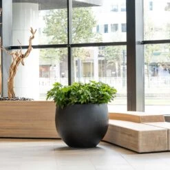 Jumbo Orb Natural Orb Planter - Black -PlantVibe Shop Jumbo Orb Natural Orb Planter Black Office Reception Planter