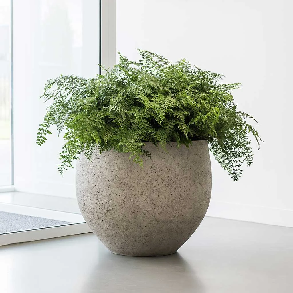 Jumbo Orb Planter - Stone Washed 7 Jumbo Orb Planter - Stone Washed - Image 7