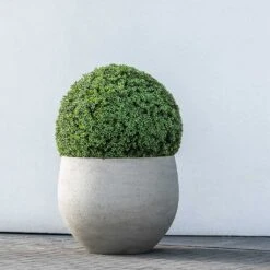 Jumbo Orb Planter - Stone Washed 20 Jumbo Orb Planter - Stone Washed -PlantVibe Shop Jumbo Orb Planter Stone Washed Topiary Box Hedge
