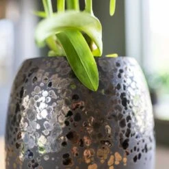 Kae Plant Vase - Mocha 6 Kae Plant Vase - Mocha -PlantVibe Shop Kae Plant Vase Mocha Close Up