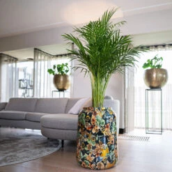 Lammie Planter - Berry Blue 14 Lammie Planter - Berry Blue -PlantVibe Shop Lammie Planter Berry Blue 5