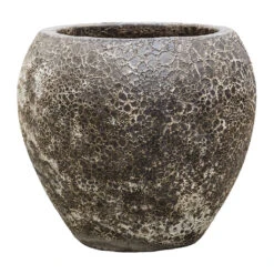 Lava Balloon Relic Planter - Black 9 Lava Balloon Relic Planter - Black -PlantVibe Shop Lava Balloon Relic Planter Black 54x50cm