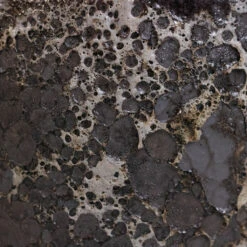 Lava Couple Straight Relic Planter - Black -PlantVibe Shop Lava Couple Straight Relic Planter Black 2