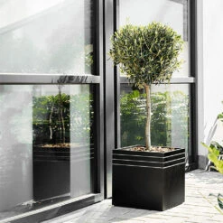 Line-Up Cube Planter - Matt Black 8 Line-Up Cube Planter - Matt Black -PlantVibe Shop Line Up Cube Planter Matt Black Lifestyle 2