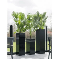 Line-Up Tall Square Planter - Matt Black -PlantVibe Shop Line Up Tall Square Planter Matt Black Lifestyle