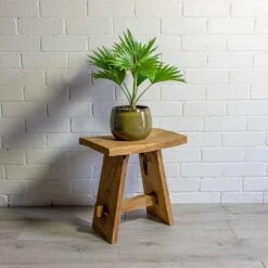 Livistona Rotundifolia - Footstool Palm -PlantVibe Shop Livistona rotundifolia Footstool Palm odile moss plant pot natural 83f6d3e0 e870 41e7 a65d 788a1f83be37
