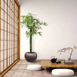 Metallic Globe Plant Pot - Matt Coffee 15 Metallic Globe Plant Pot - Matt Coffee -PlantVibe Shop Metallic Couple Plant Pot Matt Coffee LS1