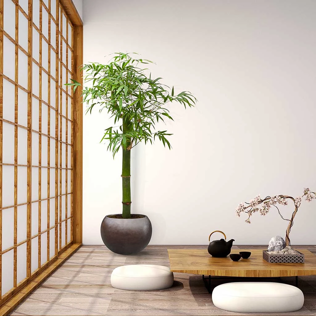 Metallic Globe Plant Pot - Matt Coffee 6 Metallic Globe Plant Pot - Matt Coffee - Image 6