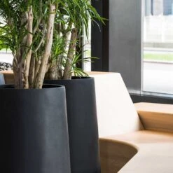 Nax Natural Tall Planter - Black 11 Nax Natural Tall Planter - Black -PlantVibe Shop Nax Natural Planter Black Office Planters Close Up